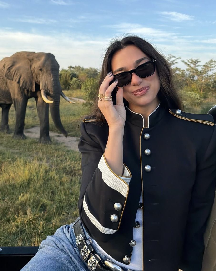 인스타그램 @dualipa 