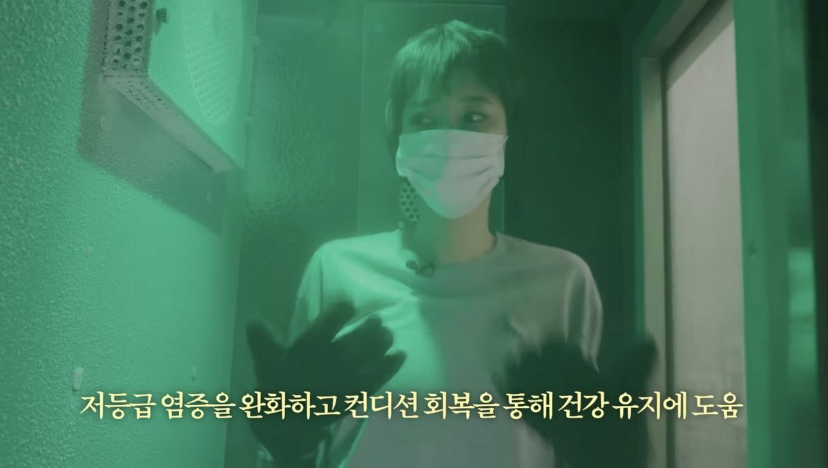 유튜브 <고준희 GO>