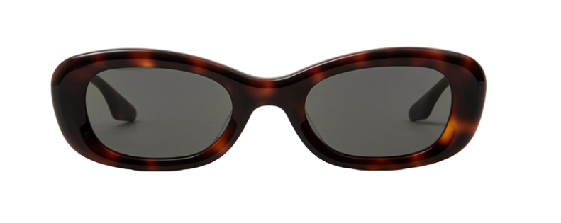 S 002 TORTOISE