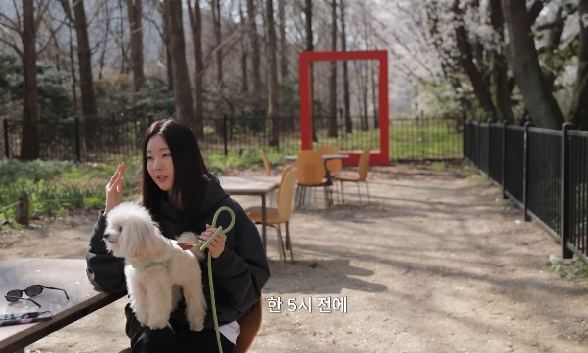 유튜브 <김사랑 sa rang>