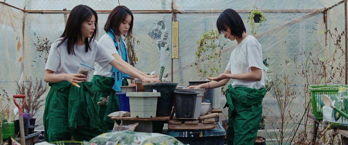 ‘올 그린스’ 스틸컷. 네이버 영화 ‘올 그린스’(2026)