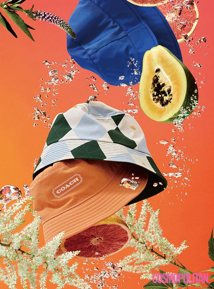  (위부터)10만원대 판가이아. 8만8천원 케이스스터디. 가격미정 코치.