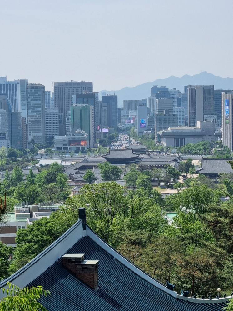 출처: 개인 제공