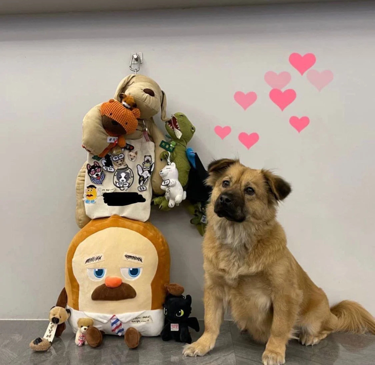 유치원 SNS