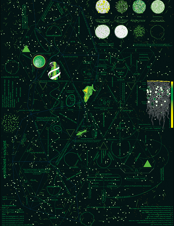 Nolan Oswald Dennis, symbiont-sociont. A lichen metacosmology, or dreaming with a lichen teacher (2023). Courtesy of the artist and Nicoletta Fiorucci Foundation.
